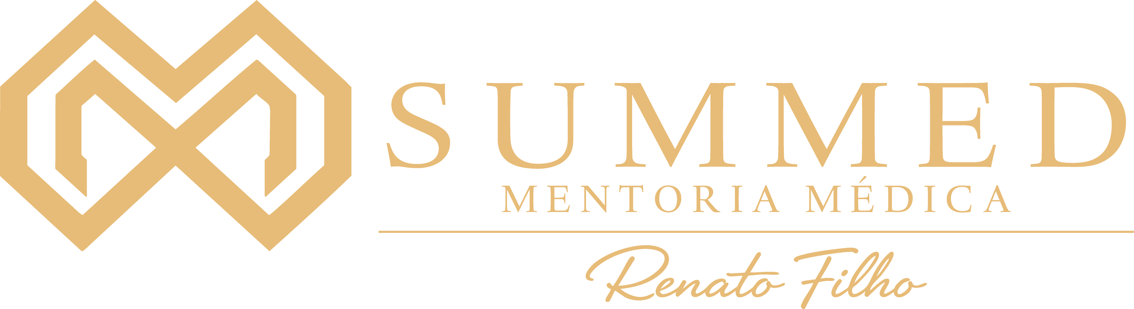 Mentoria - Renato Filho